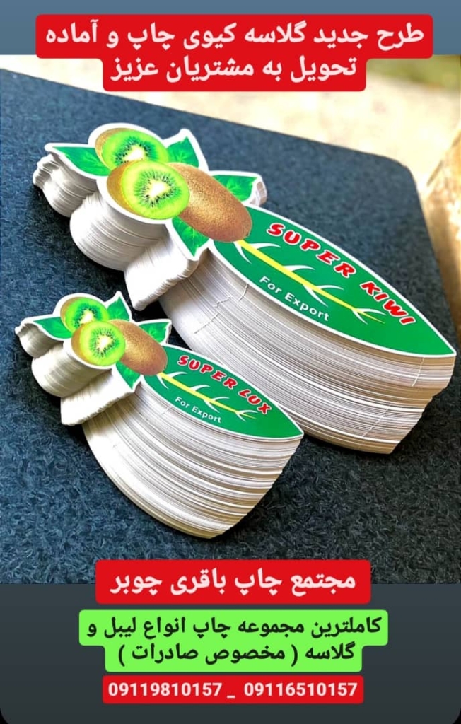 نمونه-شماره1